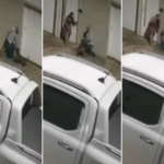 veja-o-que-se-sabe-sobre-ataque-de-pitbull-que-deixou-idoso-gravemente-ferido-em-palmas