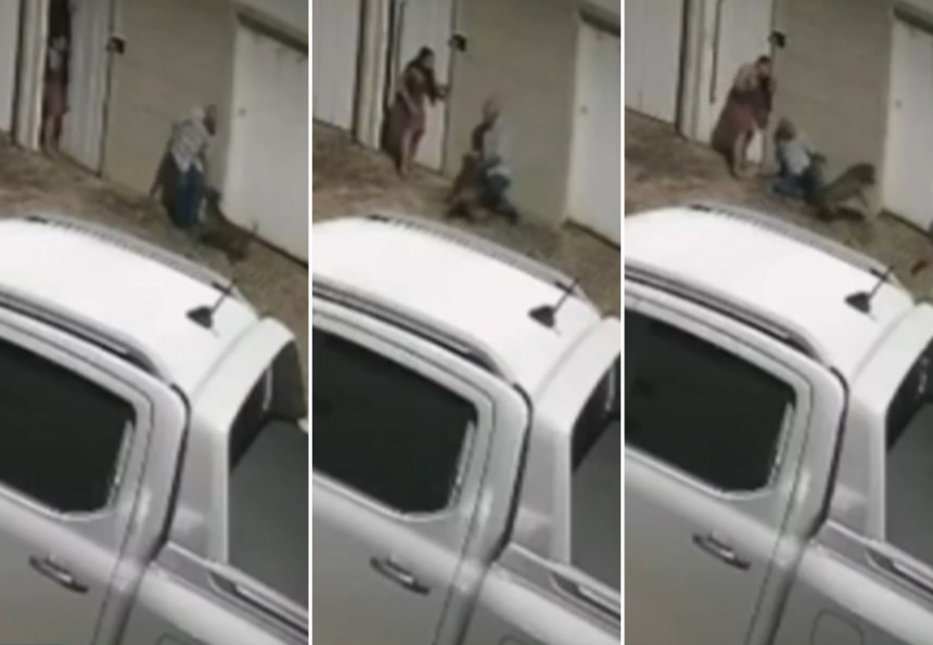 veja-o-que-se-sabe-sobre-ataque-de-pitbull-que-deixou-idoso-gravemente-ferido-em-palmas