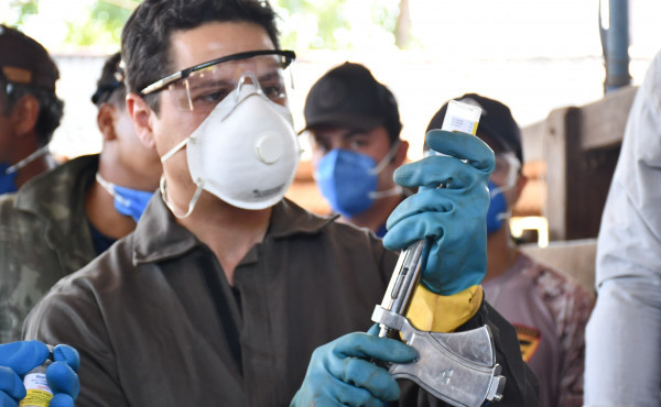 governo-do-tocantins-alerta-para-o-fim-do-prazo-da-segunda-etapa-da-campanha-de-vacinacao-contra-a-brucelose-que-termina-nesta-quarta-feira,-31