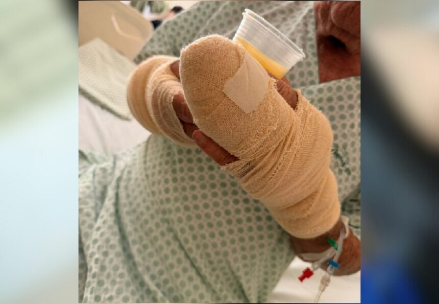 familia-diz-que-idoso-atacado-por-pitbull-esta-com-medo-de-voltar-para-casa-e-moradores-cobram-acao-da-prefeitura