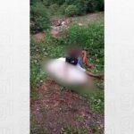 pai-se-senta-ao-lado-do-corpo-da-filha-apos-acidente-na-to-201-e-lamenta-morte:-‘e-duro’;-video