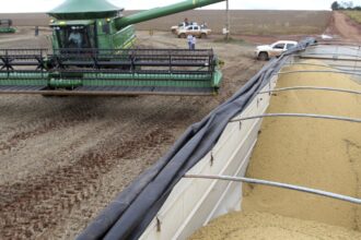 lei-que-pune-participantes-da-moratoria-da-soja-volta-a-valer-em-mt