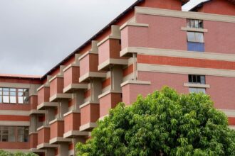 falha-no-iml-leva-mpto-a-pedir-medida-urgente-para-garantir-sepultamento-digno