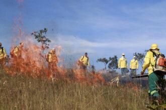 naturatins-registra-queda-de-mais-de-30%-em-area-afetada-por-incendios-nas-unidades-de-conservacao-do-tocantins-em-2025