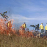 acoes-do-governo-do-tocantins-resultam-em-queda-de-mais-de-30%-na-area-afetada-por-incendios-em-unidades-de-conservacao-do-estado-em-2025