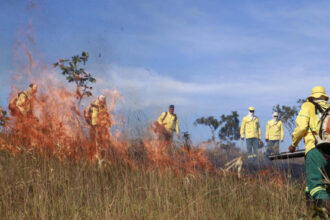 acoes-do-governo-do-tocantins-resultam-em-queda-de-mais-de-30%-na-area-afetada-por-incendios-em-unidades-de-conservacao-do-estado-em-2025