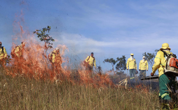 acoes-do-governo-do-tocantins-resultam-em-queda-de-mais-de-30%-na-area-afetada-por-incendios-em-unidades-de-conservacao-do-estado-em-2025