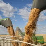 processadoras-de-soja-deixam-acordo-sobre-desmatamento-na-amazonia