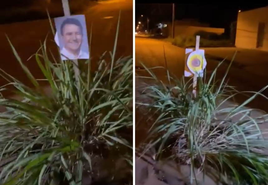 moradores-usam-moita-de-capim-e-foto-de-prefeito-em-estaca-para-protestar-contra-buracos-em-palmas