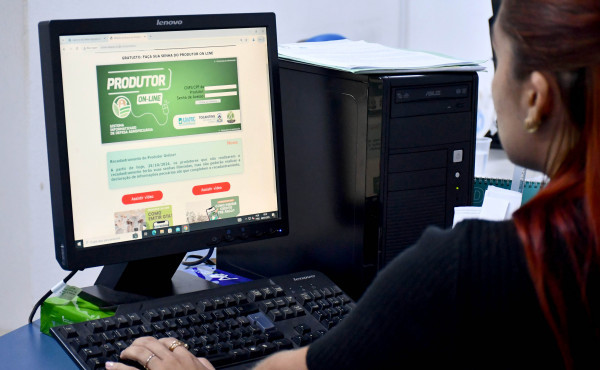 governo-do-tocantins-facilita-emissao-gratuita-do-extrato-de-movimentacao-do-rebanho