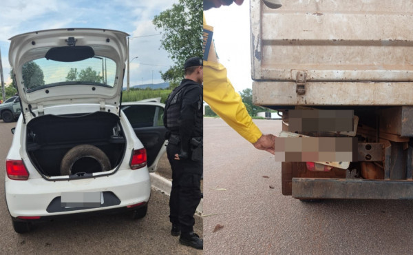 agentes-do-detran/to-apreendem-veiculos-com-placas-adulteradas-e-com-registro-de-furto-e-roubo-na-capital
