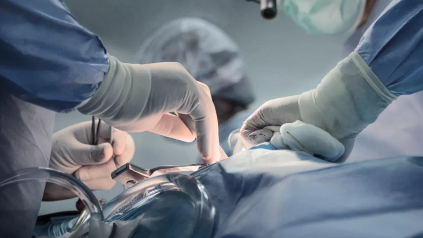 gemeos-siameses-morrem-apos-cirurgia-de-separacao-em-goiania