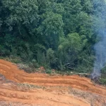 desmatamento-cai-9%-na-amazonia-e-no-cerrado-em-2025