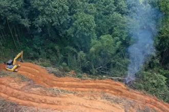 desmatamento-cai-9%-na-amazonia-e-no-cerrado-em-2025