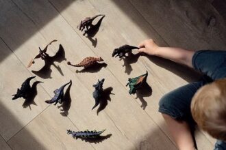 menores-vao-parar-no-tribunal apos-confusao-com-dinossauro-de-brinquedo-em-creche 