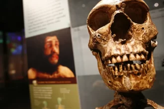 fosseis-de-770-mil-anos-podem-revelar-ancestral-de-humano-moderno-e-de-neandertal