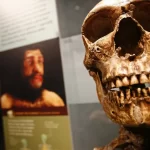 fosseis-de-770-mil-anos-podem-revelar-ancestral-de-humano-moderno-e-de-neandertal