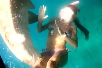 video-mostra-mordida-de-tubarao-em-turista-em-fernando-de-noronha
