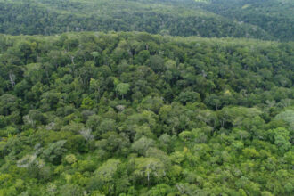 monitoramento-ambiental-do-governo-do-tocantins-aponta-queda-no-desmatamento-e-nos-focos-de-queimadas-em-2025