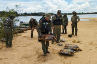 naturatins-intensifica-operacao-piracema-e-realiza-apreensoes-em-diversas-regioes-do-estado
