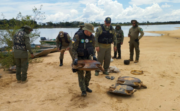 naturatins-intensifica-operacao-piracema-e-realiza-apreensoes-em-diversas-regioes-do-estado