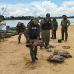 naturatins-intensifica-operacao-piracema-e-realiza-apreensoes-em-diversas-regioes-do-estado