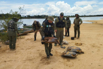 naturatins-intensifica-operacao-piracema-e-realiza-apreensoes-em-diversas-regioes-do-estado