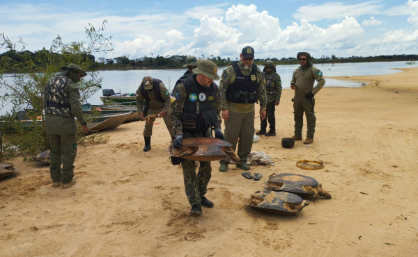 naturatins-intensifica-operacao-piracema-e-realiza-apreensoes-em-diversas-regioes-do-estado