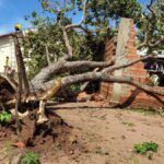 estado-deve-destinar-quase-r$-430-mil-a-200-familias-afetadas-por-temporal-em-palmas