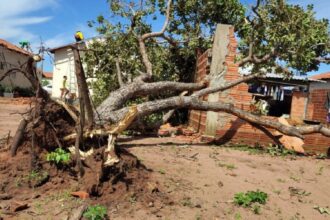 estado-deve-destinar-quase-r$-430-mil-a-200-familias-afetadas-por-temporal-em-palmas