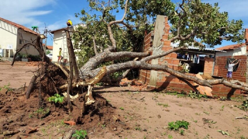 estado-deve-destinar-quase-r$-430-mil-a-200-familias-afetadas-por-temporal-em-palmas