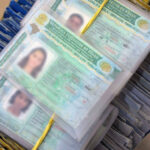 governo-do-tocantins-implementa-novo-formato-de-emissao-da-primeira-cnh-e-renovacao-automatica