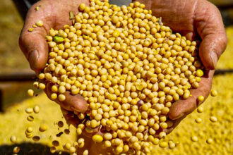 governo-do-estado-impulsiona-crescimento-economico-e-tocantins-ultrapassa-us$-3-bilhoes-em-exportacoes,-ocupando-3o-lugar-na-regiao-norte