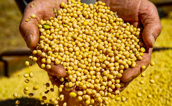 governo-do-estado-impulsiona-crescimento-economico-e-tocantins-ultrapassa-us$-3-bilhoes-em-exportacoes,-ocupando-3o-lugar-na-regiao-norte