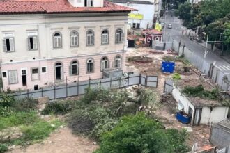 arborizacao-urbana-deve-integrar,-de-forma-estruturante,-o-planejamento-da-cidade,-defende-especialista-em-arquitetura-e-urbanismo