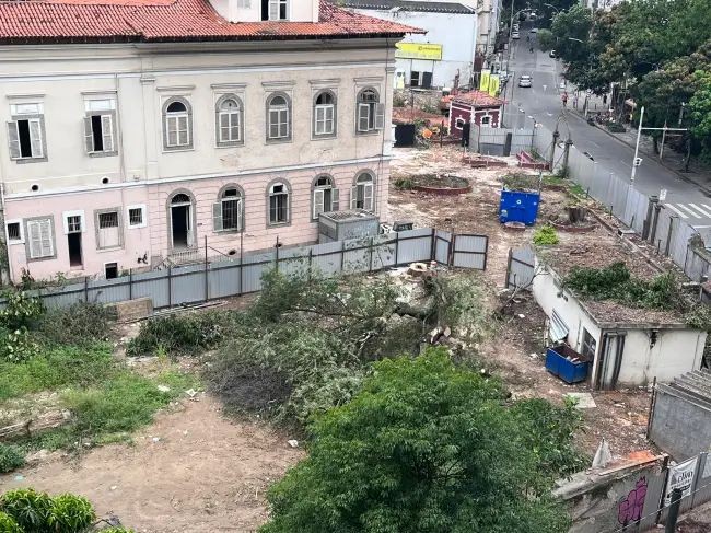 arborizacao-urbana-deve-integrar,-de-forma-estruturante,-o-planejamento-da-cidade,-defende-especialista-em-arquitetura-e-urbanismo