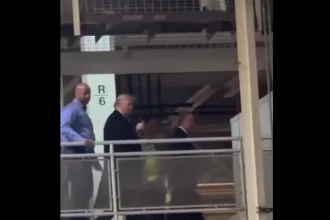 trump-insulta-operario-que-o-chamou-“protetor-de-pedofilo”;-veja