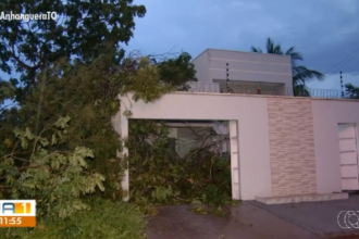 temporal-e-ventania-derrubam-arvores-e-provocam-estragos-em-quadras-da-regiao-sul-de-palmas;-video