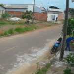 em-menos-de-18-horas,-policia-civil-identifica-e-localiza-homem-que-abandonou-animais-em-paraiso-do-tocantins