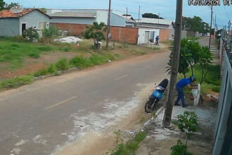 em-menos-de-18-horas,-policia-civil-identifica-e-localiza-homem-que-abandonou-animais-em-paraiso-do-tocantins