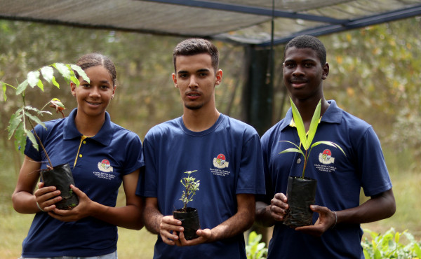 tocantins-conquista-2o-lugar-no-ranking-nacional-de-educacao-ambiental-com-acoes-em-84%-das-escolas