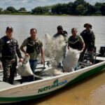 naturatins-realiza-a-apreensao-de-6,8-mil-metros-de-rede-em-nova-acao-da-operacao-piracema-2025/2026