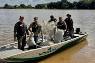 naturatins-realiza-a-apreensao-de-6,8-mil-metros-de-rede-em-nova-acao-da-operacao-piracema-2025/2026