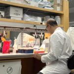 ses/to-reforca-apoio-a-qualificacao-profissional-e-ao-avanco-cientifico-no-sus