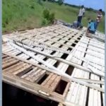 caminhao-carregado-com-mais-de-80-cabecas-de-gado-tomba-em-trecho-da-to-222