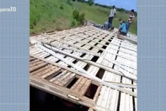 caminhao-carregado-com-mais-de-80-cabecas-de-gado-tomba-em-trecho-da-to-222