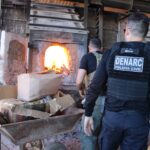 policia-incinera-4,6-kg-de-drogas-e-‘farinha-de-bolo’:-‘alguem-estava-sendo-enganado’,-diz-delegado