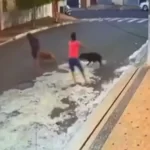 crianca-tem-o-couro-cabeludo-arrancado-ao-ser-atacada-por-pit-bull