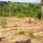 governo-do-tocantins-celebra-4a-posicao-no-ranking-de-contratos-do-programa-nacional-de-credito-fundiario