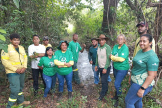 naturatins-recebe-curso-de-recuperacao-de-nascentes-e-matas-ciliares-no-parque-estadual-do-cantao